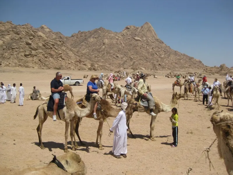 Bedouin Dinner Sharm El Sheikh